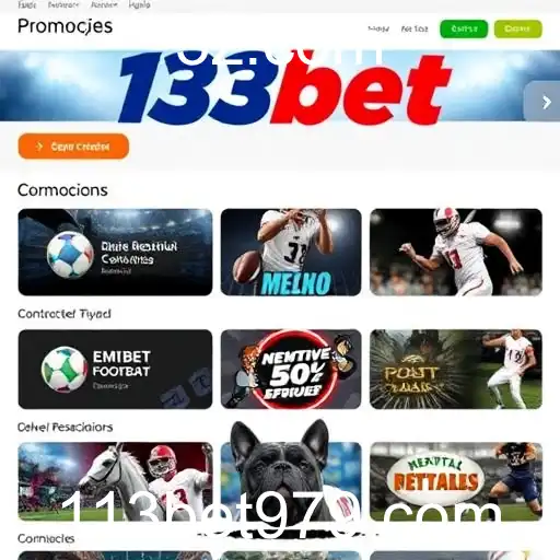 Explorando a Categoria 'Promoções' no 113bet